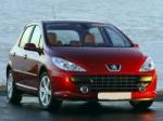 ���������� Peugeot 307 1.6E  Auto ( ���� 307 ������� )